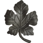 CS6124_Grape_Leaf_B1-Clear
