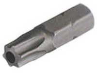Security Torx Screw Bit