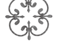 BS081