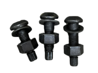 Torsional Shear Bolts